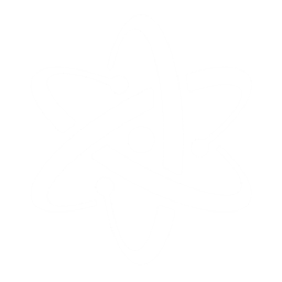 Roamcode logo